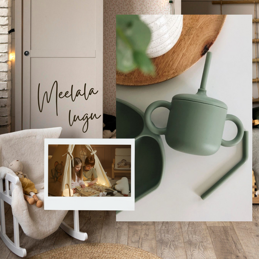 Meie lugu- kuidas sündis Meelala?