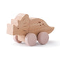 Ratastel dinosauruse komplekt