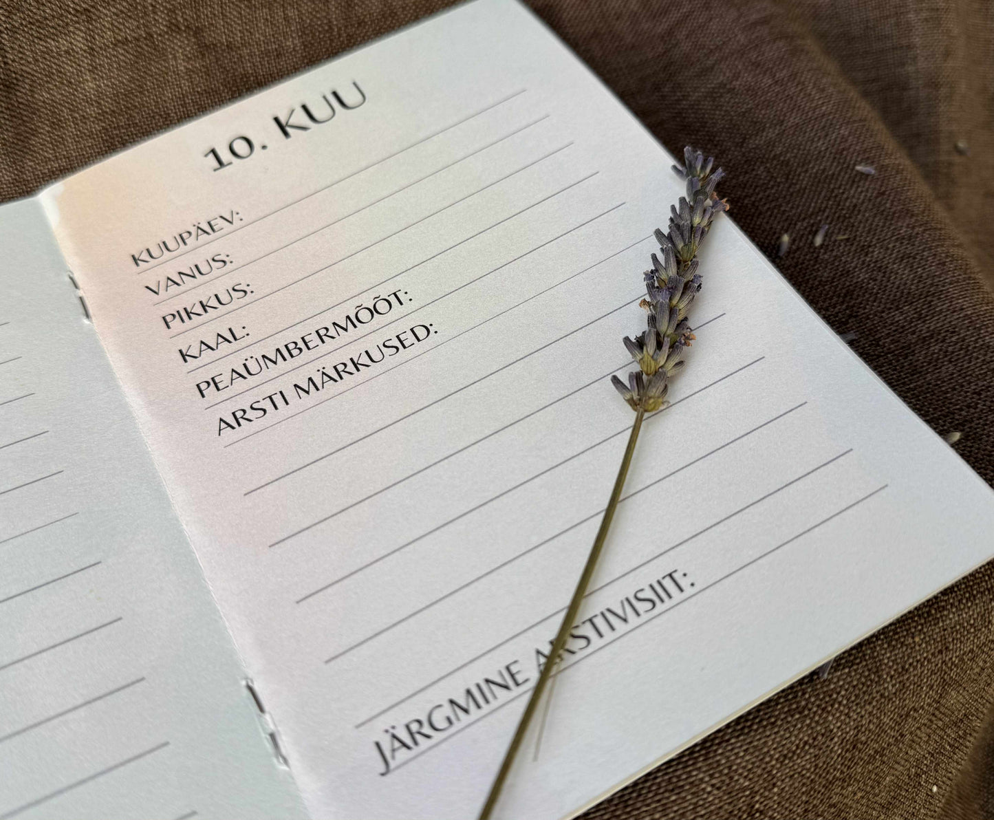 Beebi Tervisepäevik