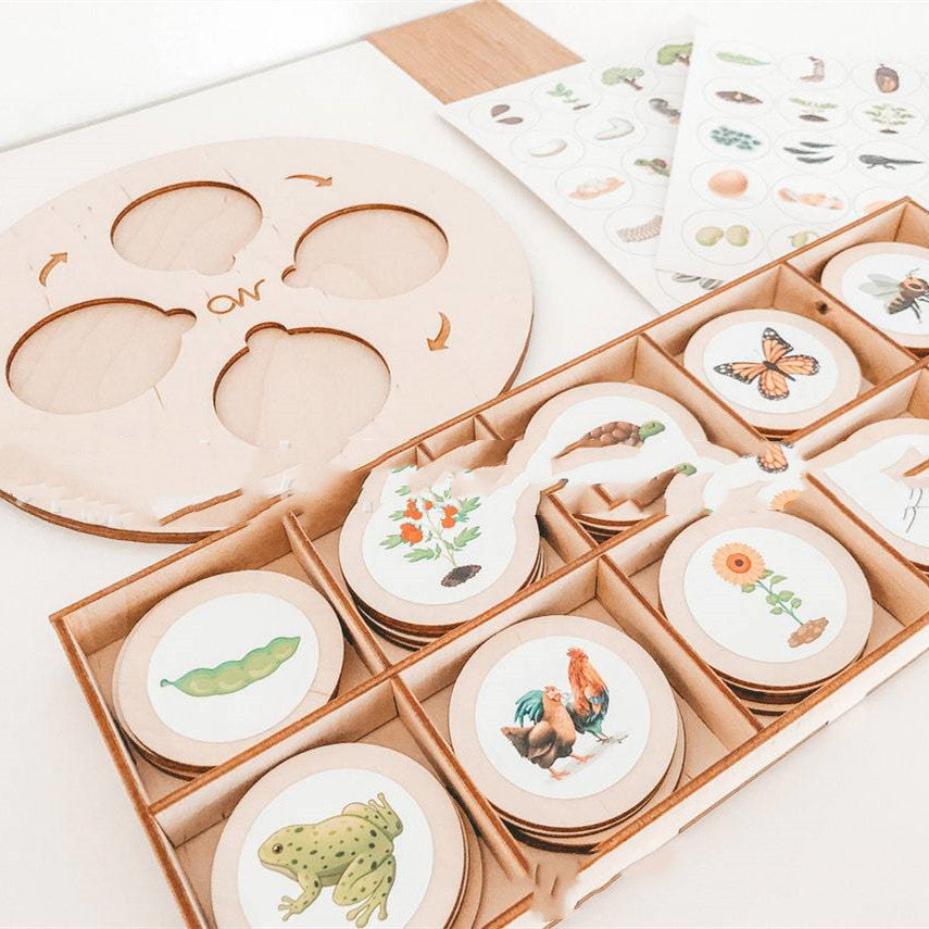 Montessori eluringi arendav mäng