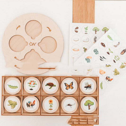 Montessori eluringi arendav mäng