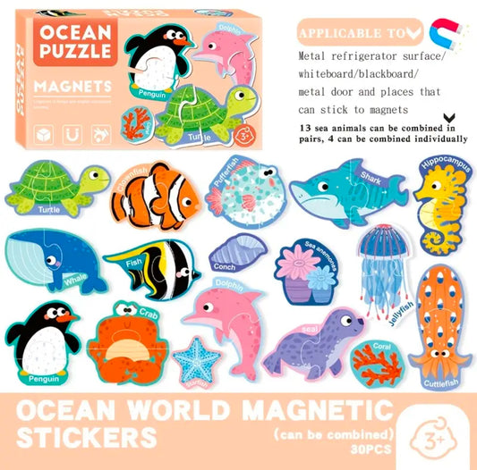 Magneetiline pusle 2+ a