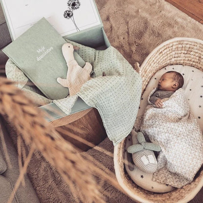 Ahojbaby beebivoodi ilma madratsita