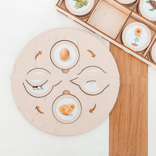 Montessori eluringi arendav mäng